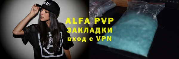 шишки Тайга