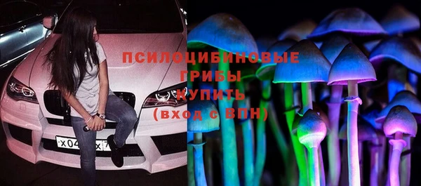 прущие грибы Тавда