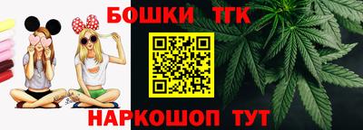 спайс Гатчина