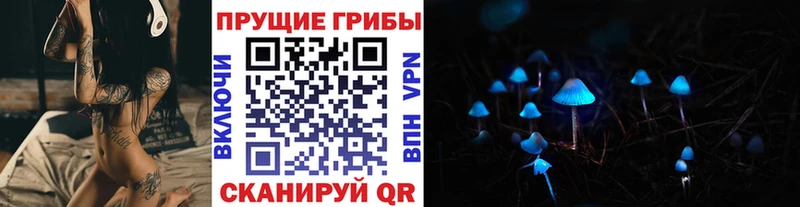 Галлюциногенные грибы Psilocybe  Тавда 