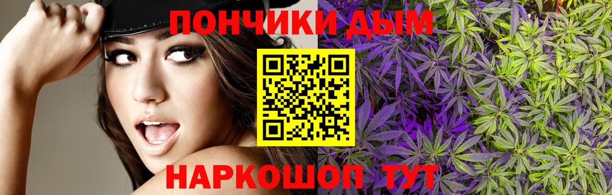 Конопля сатива Тавда